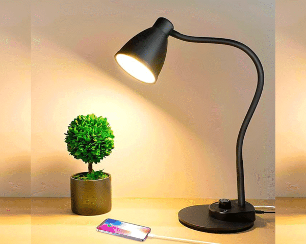 BOHON LED Desk Lamp with USB Charging Port