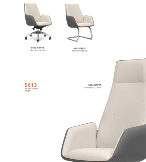 Executive Office Chair S613-KRPYA/B/C