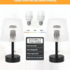 AMINAC Table Lamp - Image 4