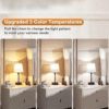 AMINAC Table Lamp - Image 6