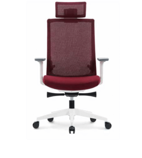 Executive Office Chair PAAGANI