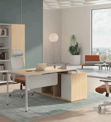 Executive Office Desk SLIM