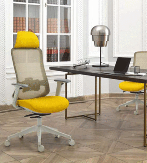 Executive Office Chair WHALE-8321