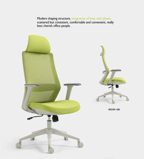 Executive Office Chair ROBO-8323