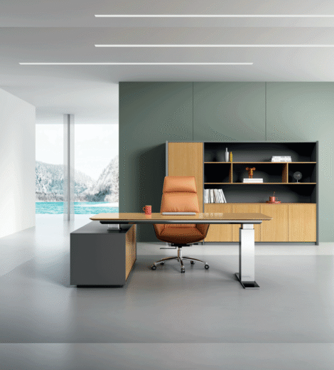 Executive Office Desk SJ9002